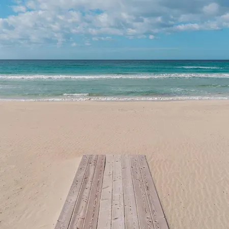 Buena Vista Gallipoli