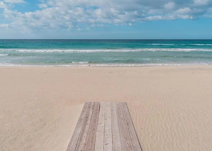 Buena Vista Gallipoli